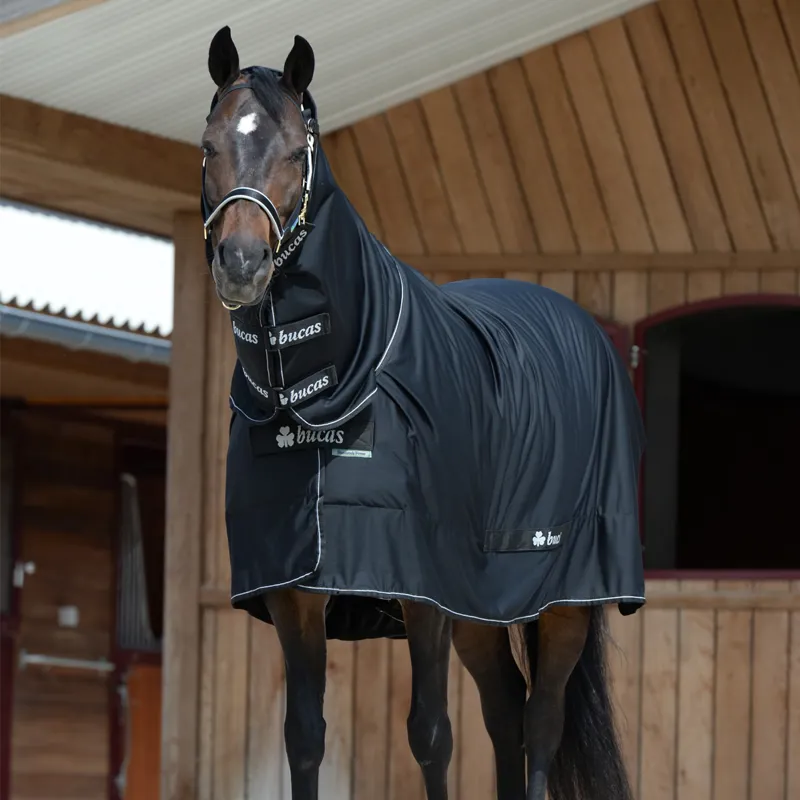 Bucas Shamrock Power Full Neck Cooler Rug - Black-2