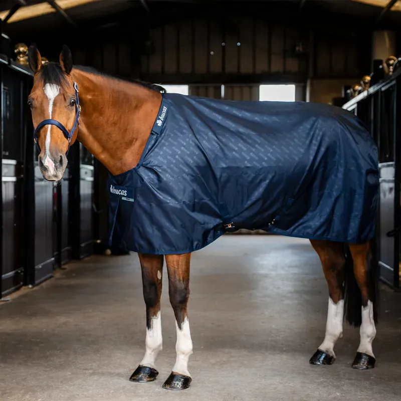 Bucas Stable Sheet - Navy-1