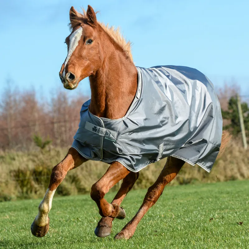 Bucas Smartex 150g Medium Standard Neck Turnout Rug - Iron Gate-1