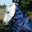 Bucas Smartex Combi 300g Turnout Neck Cover - Blue