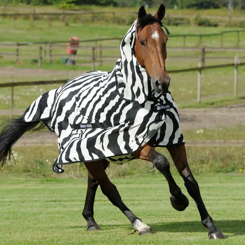 Bucas Buzz-Off Full Neck Fly Rug - Zebra Print-8