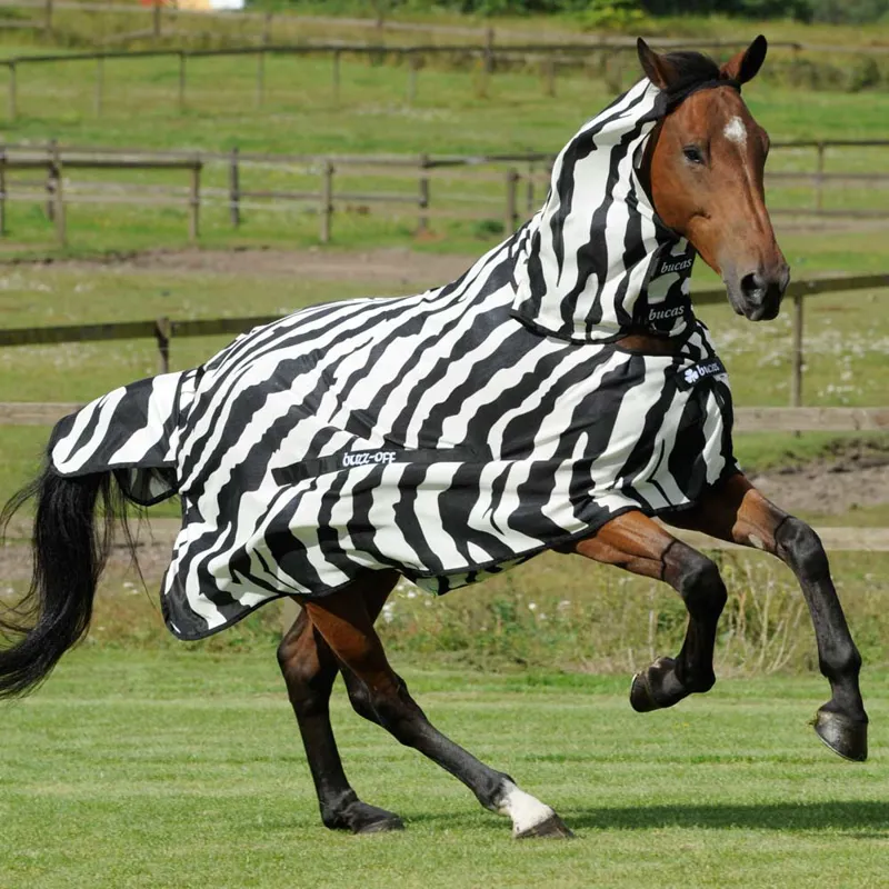 Bucas Buzz-Off Full Neck Fly Rug - Zebra Print-7