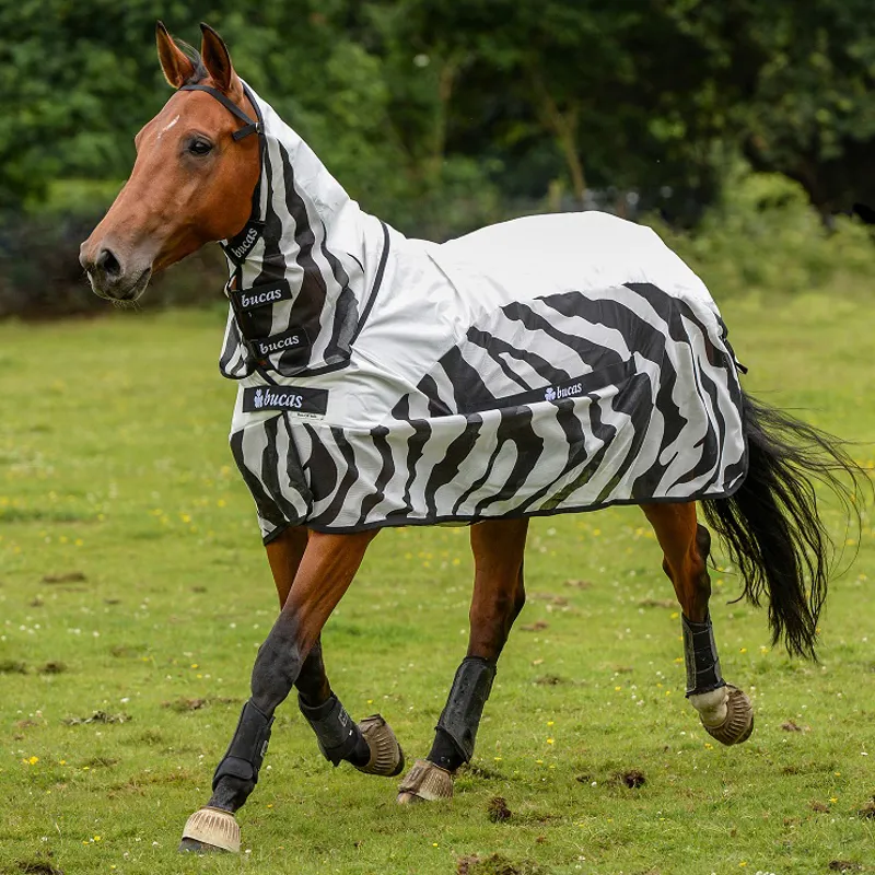 Bucas Buzz-Off Combo Fly/Rain Sheet Hybrid Rug - Zebra Print