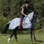 Bucas Buzz-Off Riding Rug - Silver/Navy
