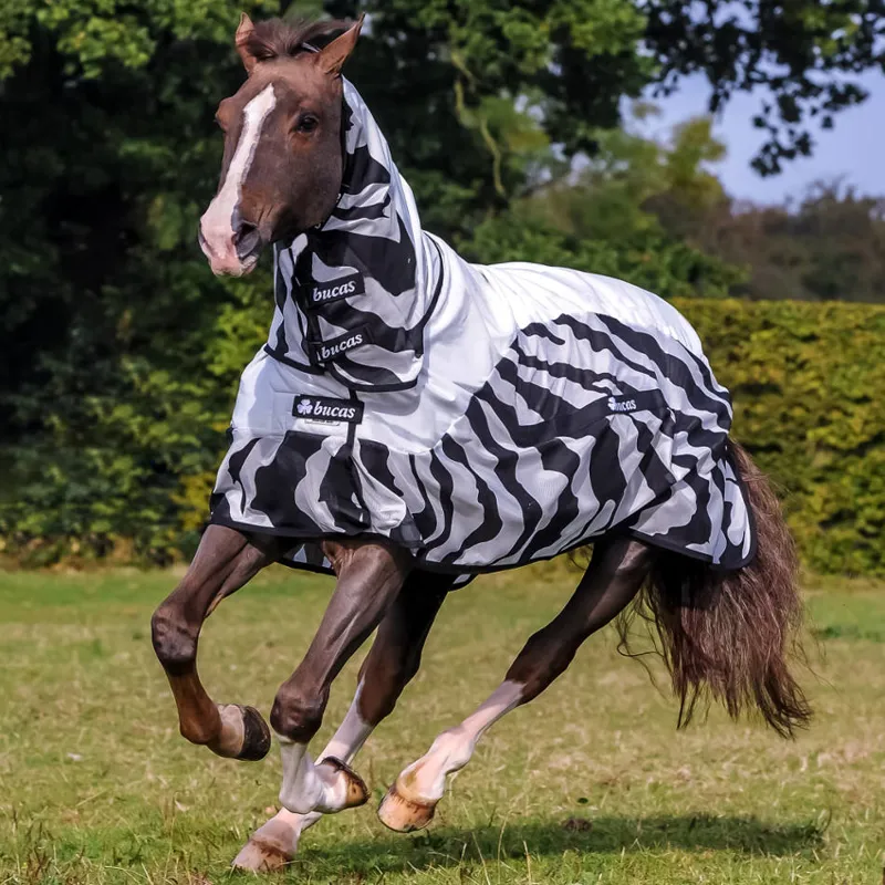 Bucas Buzz-Off Combo Fly/Rain Sheet Hybrid Rug - Zebra Print-3