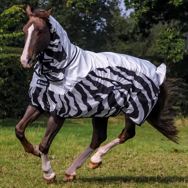 Bucas Buzz-Off Combo Fly/Rain Sheet Hybrid Rug - Zebra Print-4