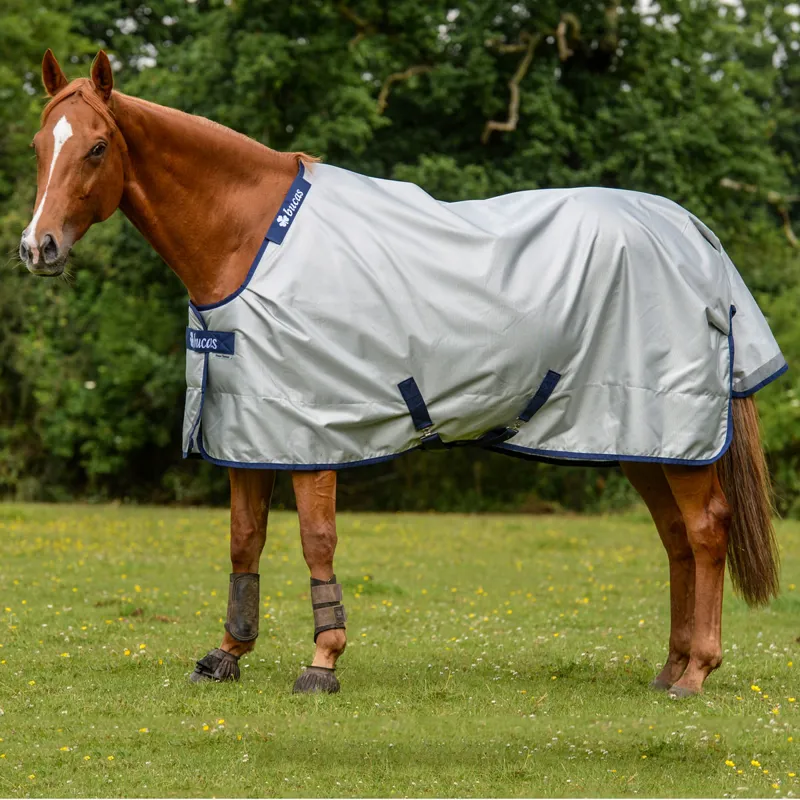 Bucas Power 0g Standard Neck Turnout Rug - Silver