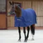 Bucas Shamrock Power Cooler Rug - Navy/Silver