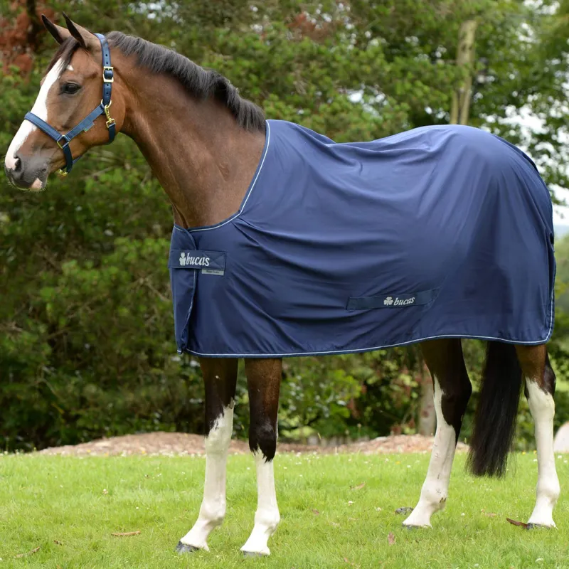 Bucas Shamrock Power Cooler Rug V1 - Navy - 6ft0-2