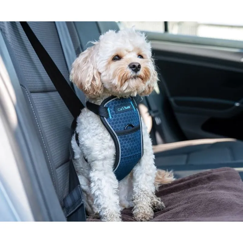 CarSafe Crash Tested Dog Harness - Blue/Black-2
