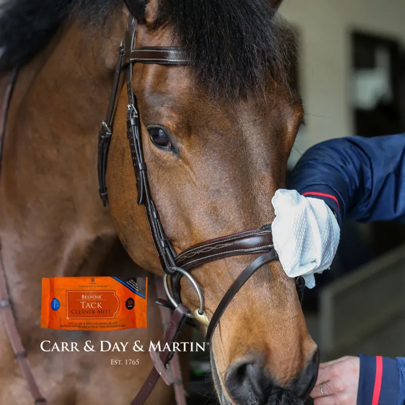 Carr and Day and Martin Belvoir Tack Cleaning Mitt - 10 Pack-2