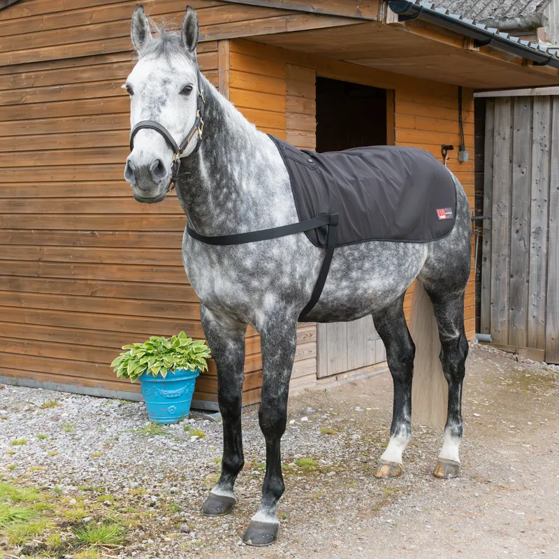 Catago FIR-Tech Pro Back Warming Pad-1