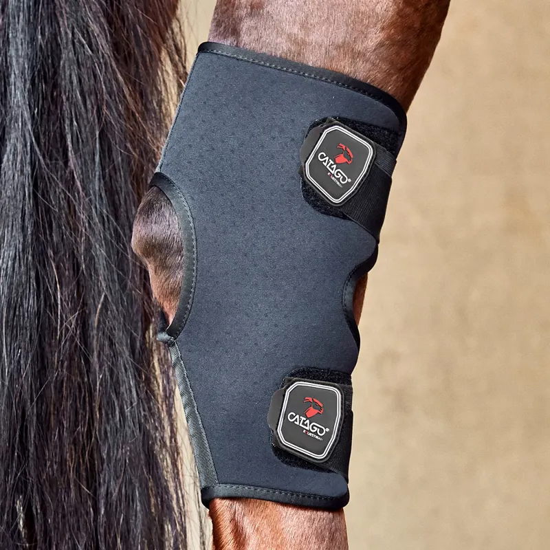 Hock boots clearance for stable