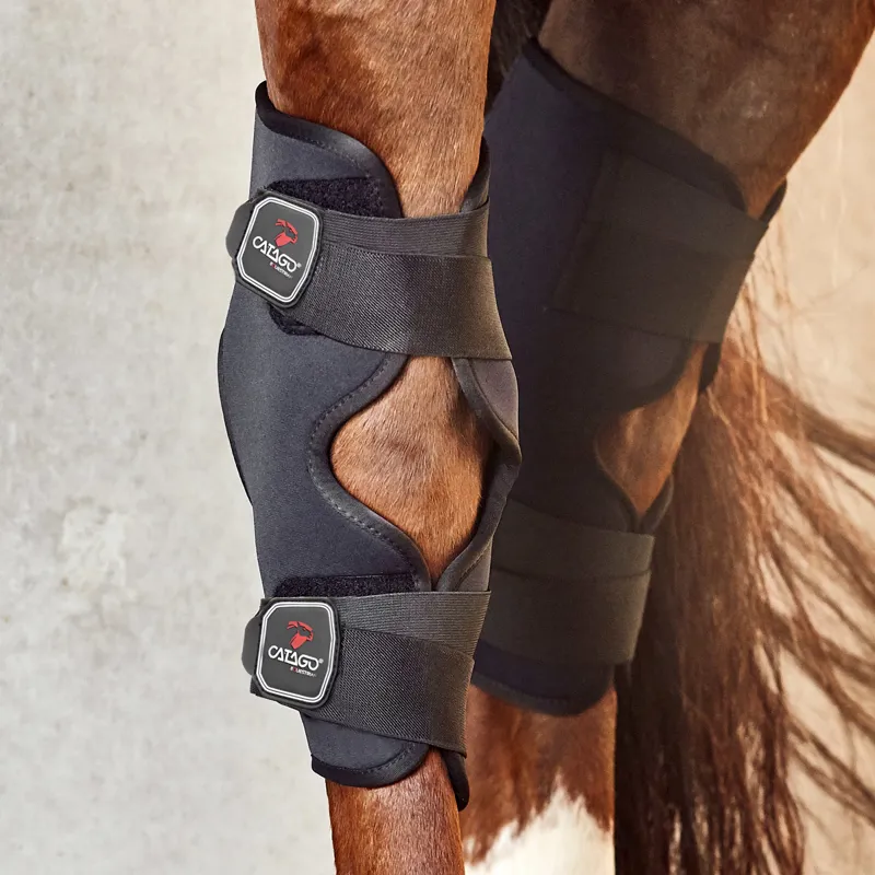 Hock boots for turnout shop