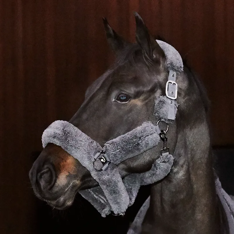 Catago Quick Dry Headcollar - Asphalt