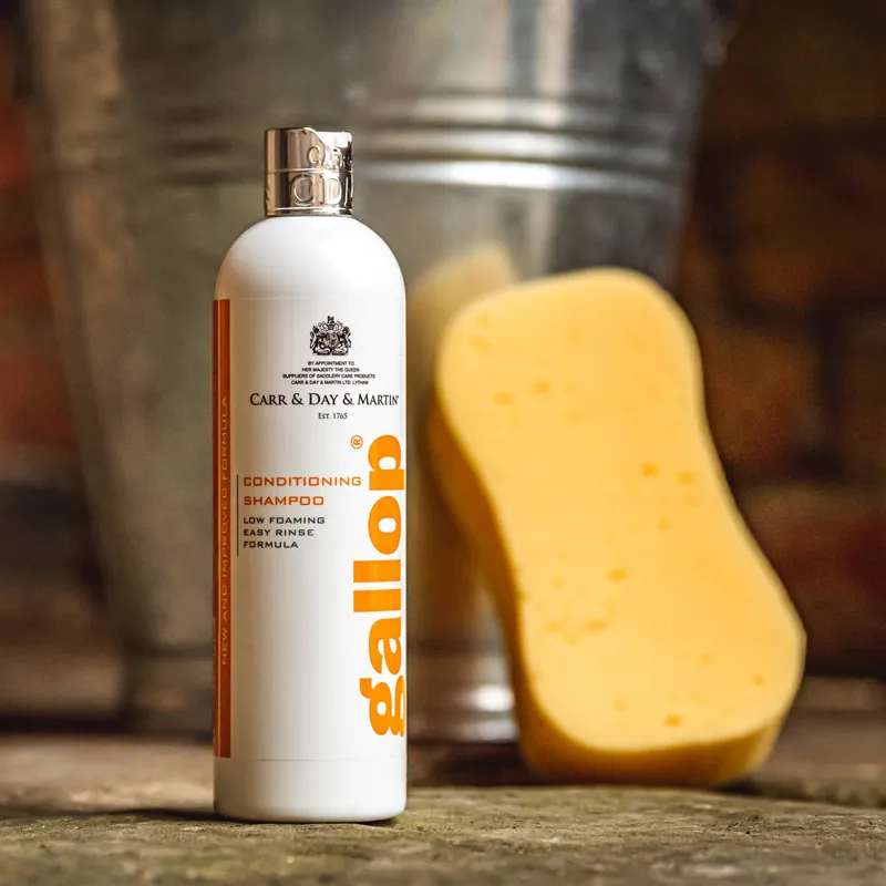 Carr and Day and Martin Gallop Conditioning Shampoo-2