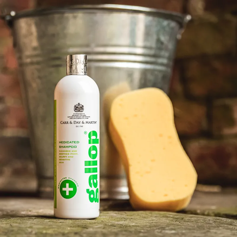 Carr and Day and Martin Gallop Medicated Shampoo-1