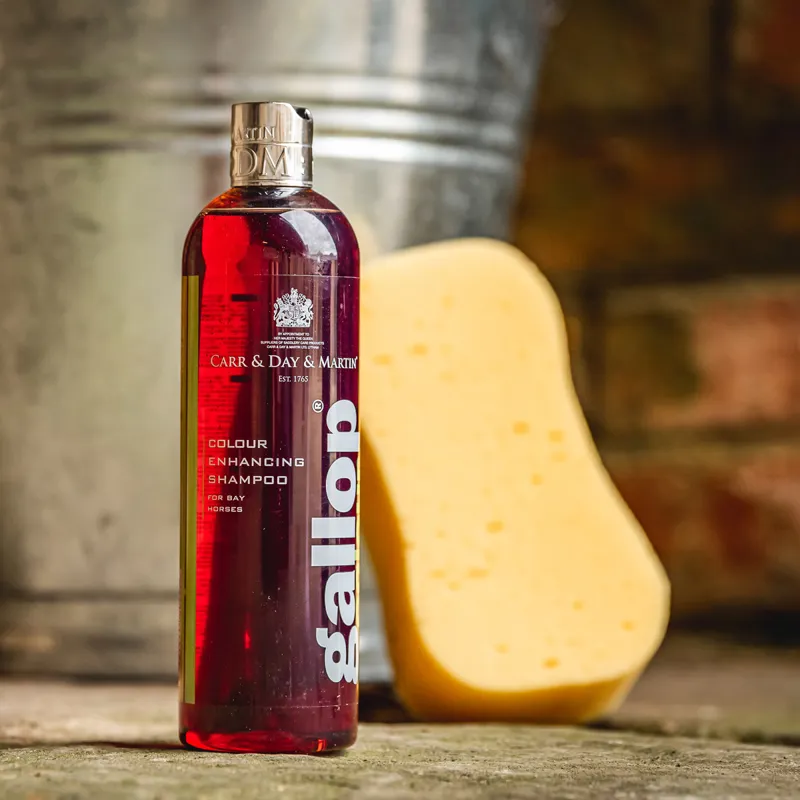 Carr and Day and Martin Gallop Colour Enhancing Shampoo - Bay-1