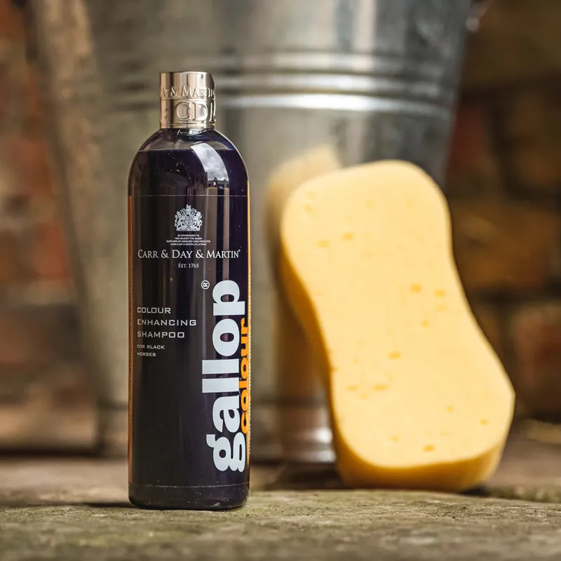 Carr and Day and Martin Gallop Colour Enhancing Shampoo - Black-1