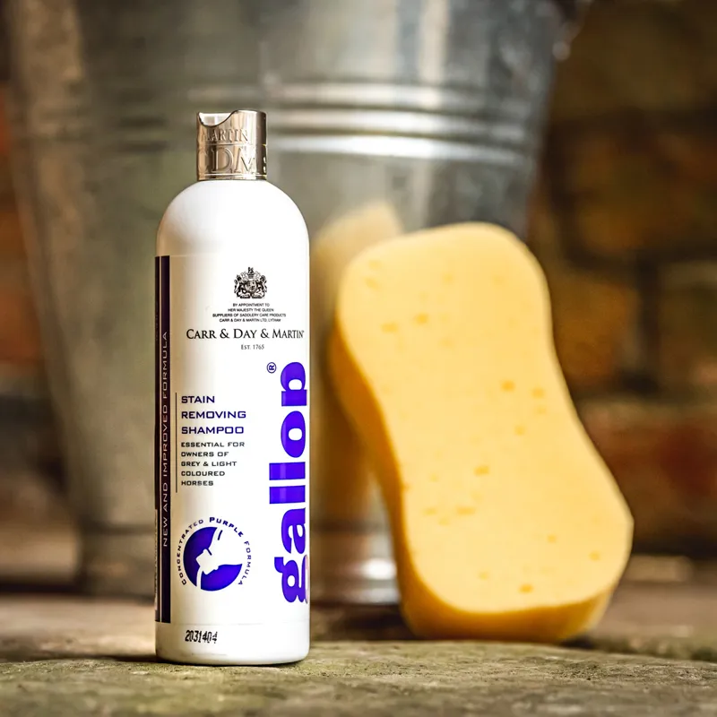 Carr and Day and Martin Gallop Stain Removing Shampoo-1