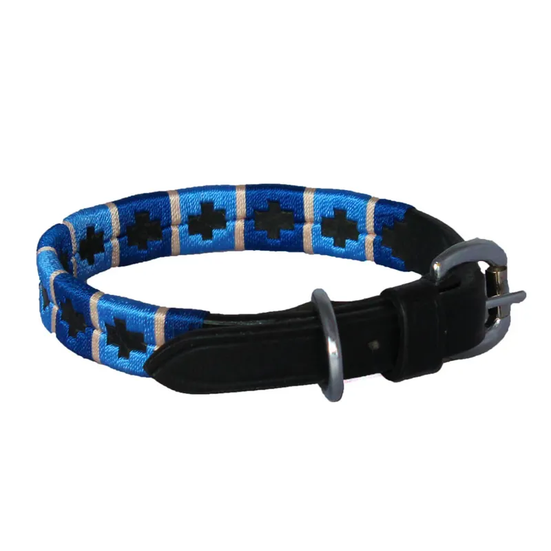 Chukka Dog Collar - Blue/Baby Blue/Champagne