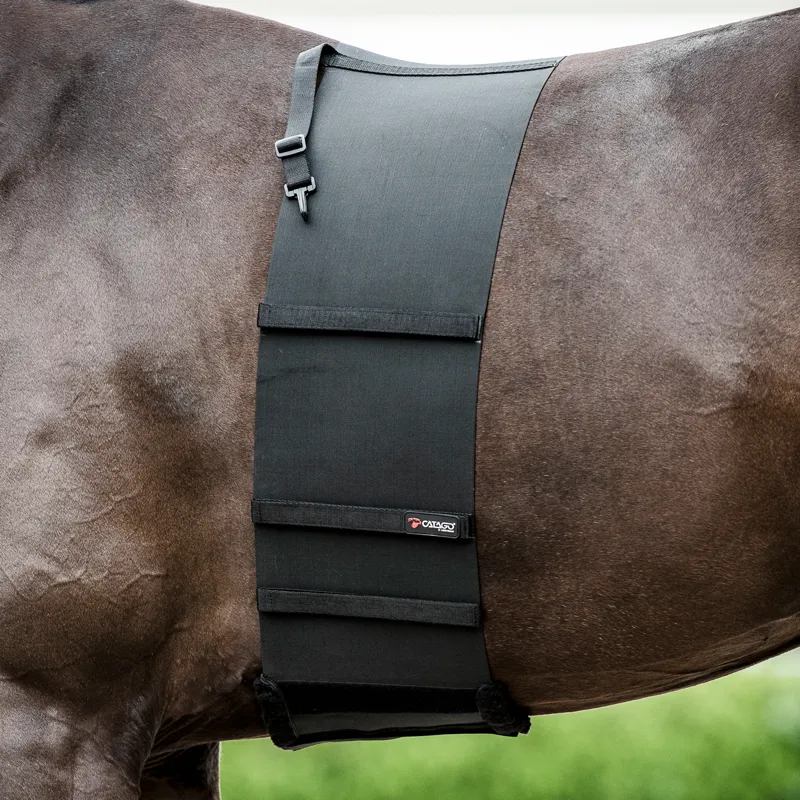 Catago Body/Spur Shield - Black