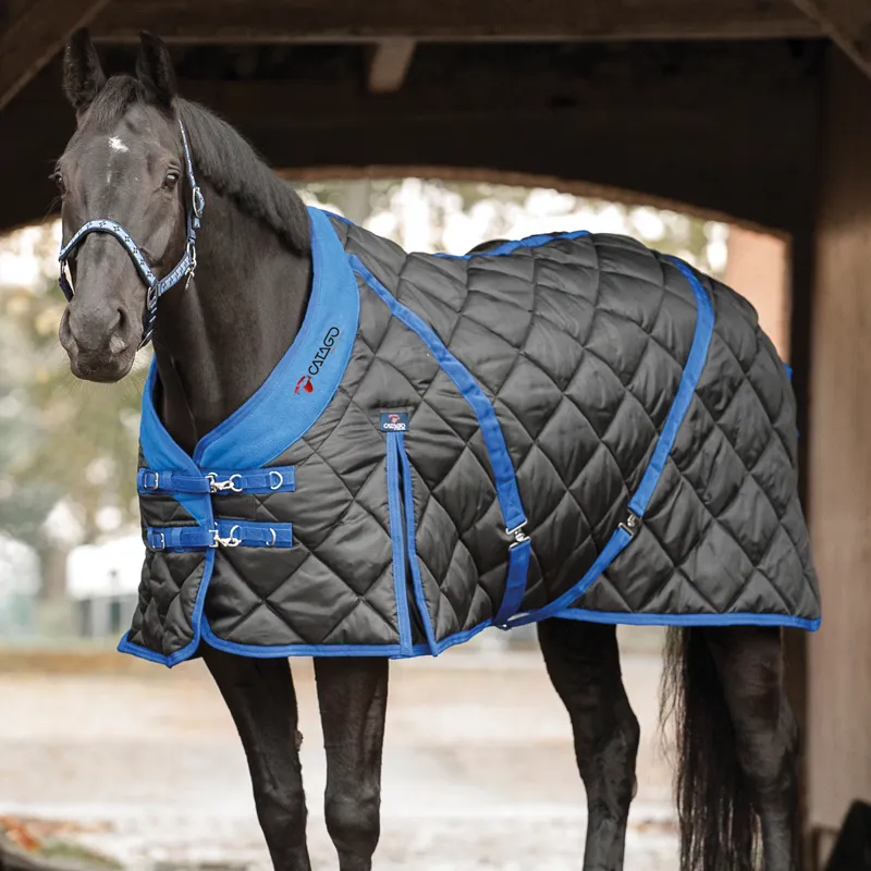 Catago 300g Standard Neck Stable Rug - Black/Blue