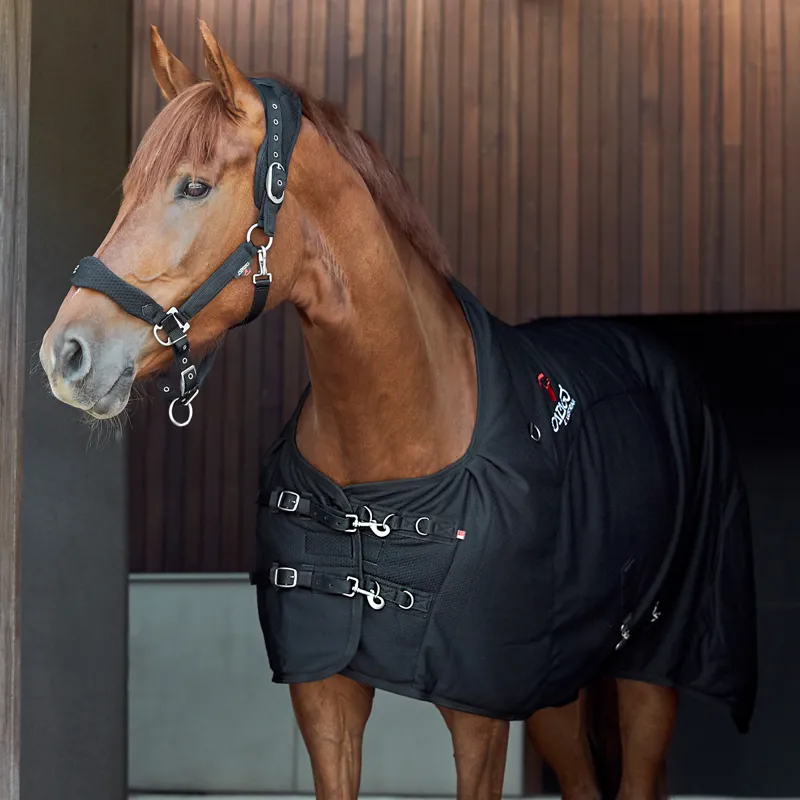 Catago FIR-Tech Healing Cooler Rug - Black-5