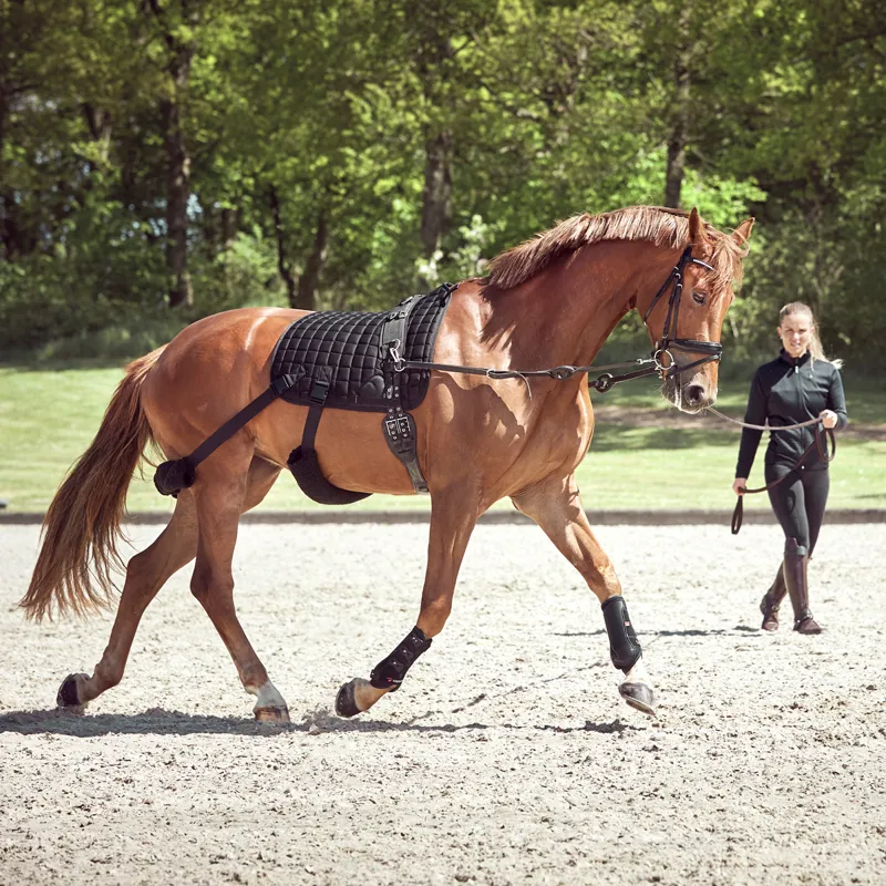 Catago FIR-Tech Training Dressage Saddlecloth - Black-2