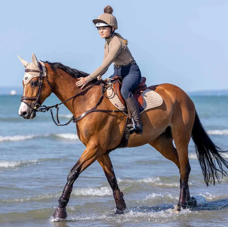 Charles Owen Pro II Plus Skull Riding Hat - Silver-1