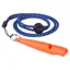 Coachi Dog Training Whistle - Coral