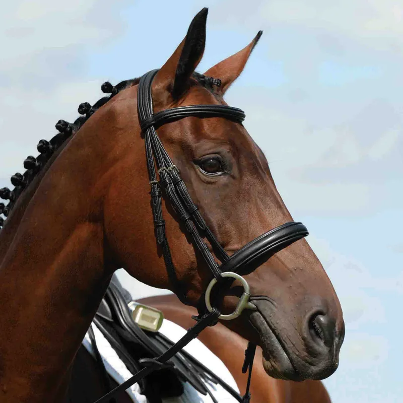 Collegiate Syntovia+ Padded Raised Cavesson Bridle - Black