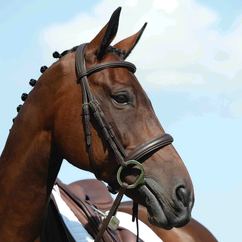 Collegiate Syntovia+ Padded Raised Cavesson Bridle with Reins - Brown