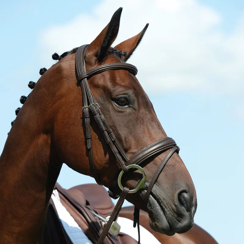 Collegiate Syntovia+ Padded Raised Flash Bridle with Reins - Brown