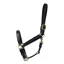Coldstream Leather Padded Headcollar - Black