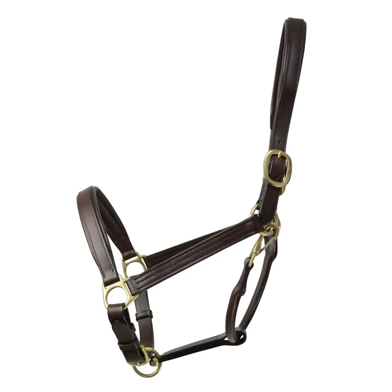 Coldstream Leather Padded Headcollar - Brown