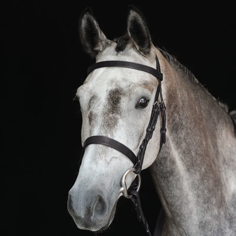 Collegiate Hunt Cavesson Bridle with Reins - Black