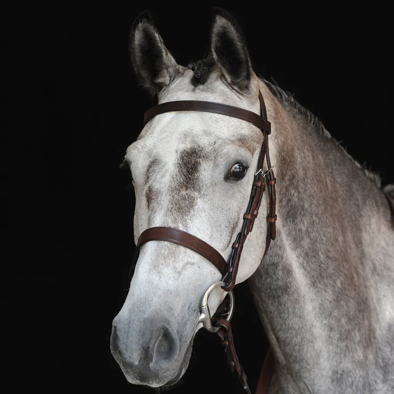 Collegiate Hunt Cavesson Bridle with Reins - Brown