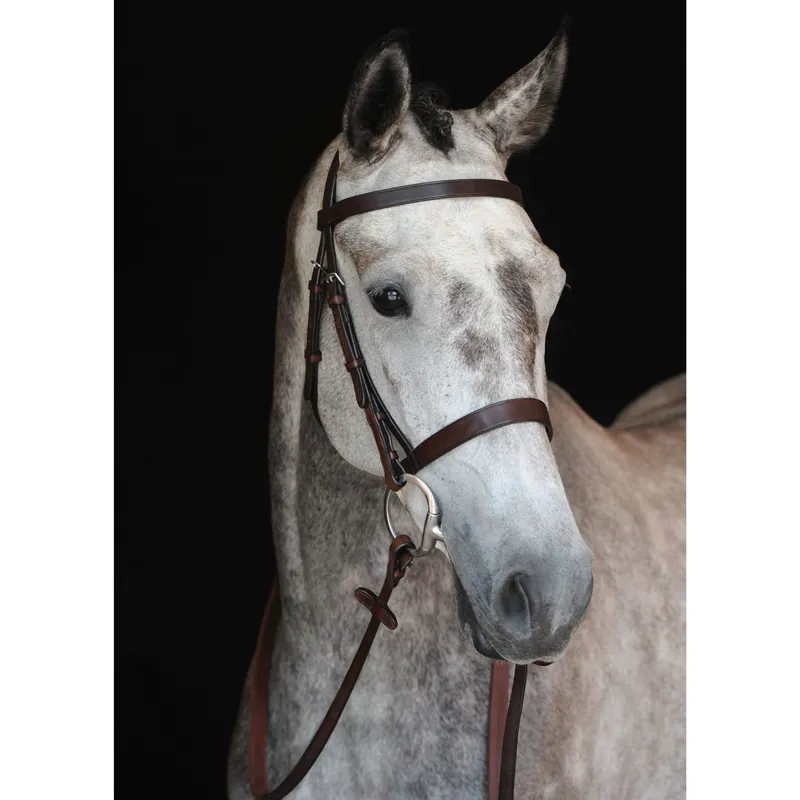 Collegiate Hunt Cavesson Bridle with Reins - Brown-1