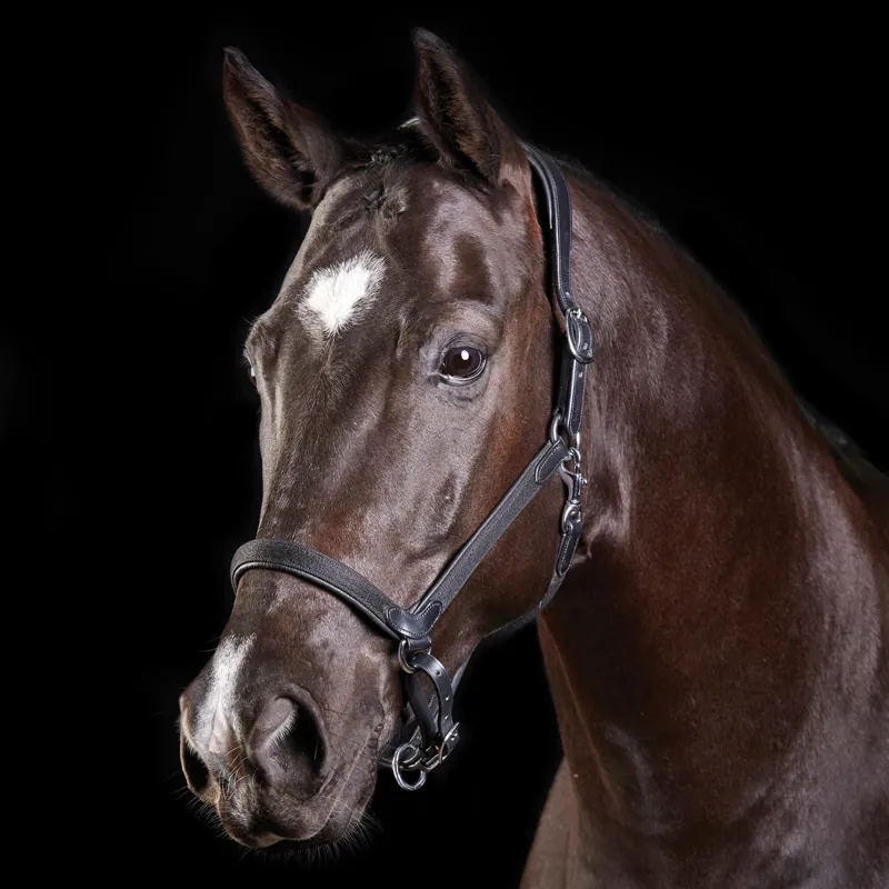 Collegiate ComFiTec Leather Headcollar - Black