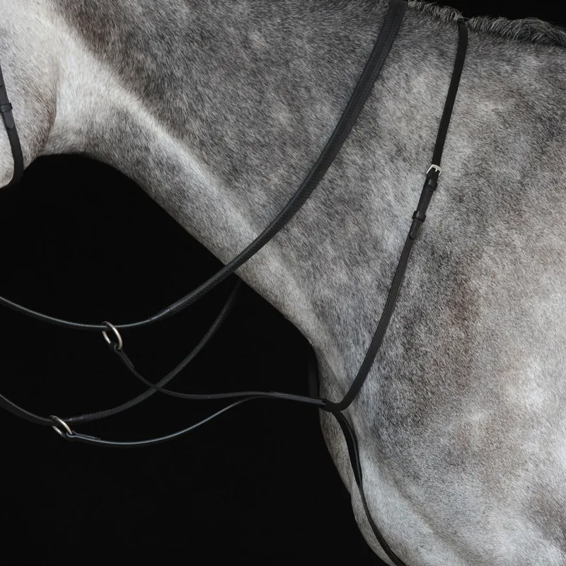 Collegiate IV Running Martingale - Black