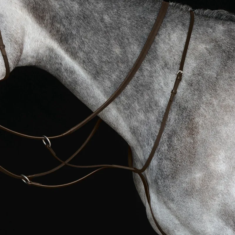 Collegiate IV Running Martingale - Brown