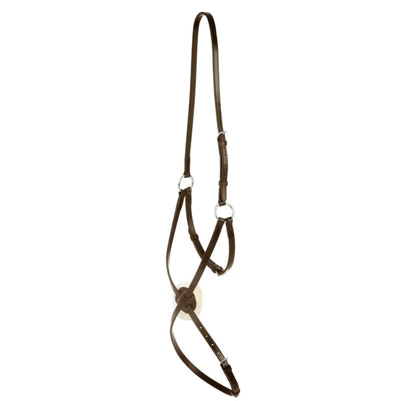 Collegiate IV Grackle Noseband - Brown