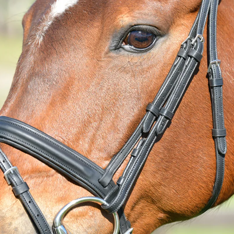 Collegiate ComFiTec Opulux Padded Hanoverian Flash Bridle - Black-2