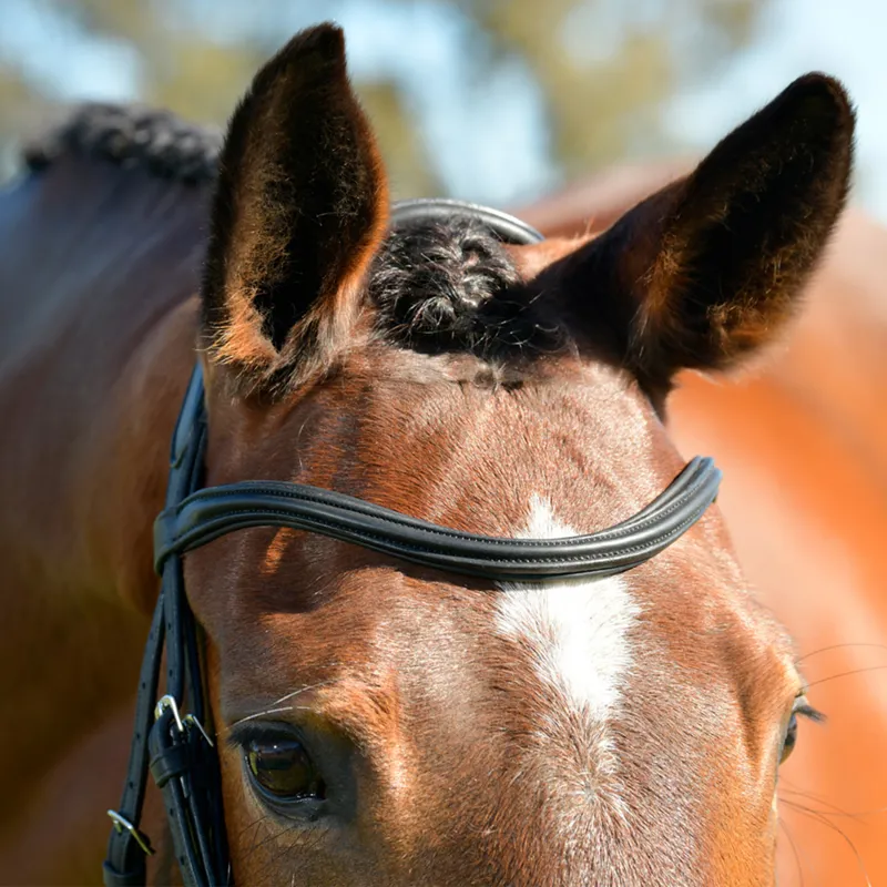 Collegiate ComFiTec Opulux Padded Hanoverian Flash Bridle - Black-1
