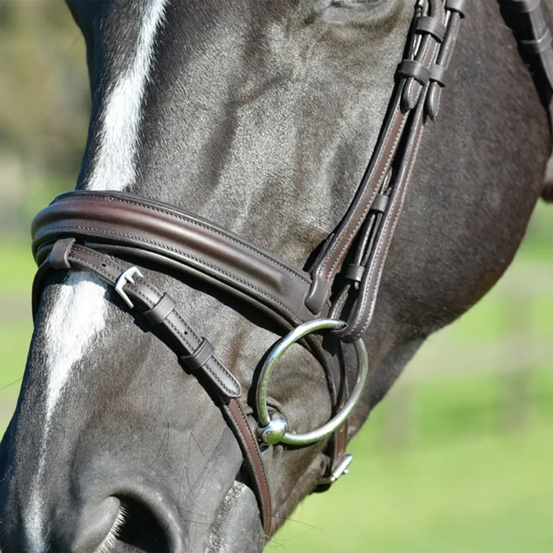 Collegiate ComFiTec Opulux Padded Hanoverian Flash Bridle - Brown-7
