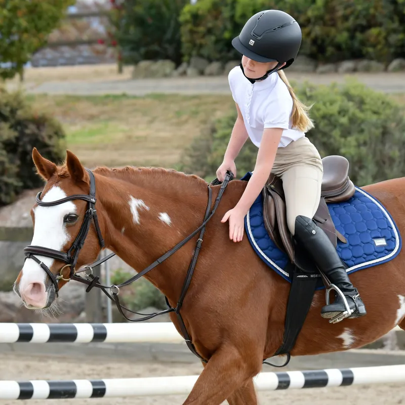 Collegiate ComFiTec Opulux Padded Hanoverian Flash Bridle - Brown-6