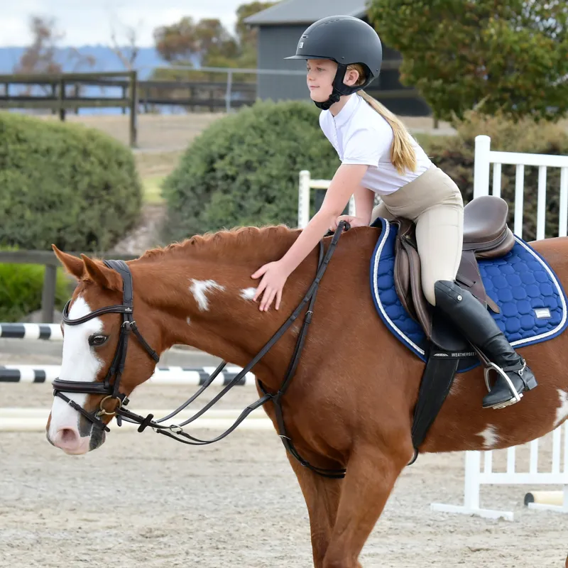 Collegiate ComFiTec Opulux Padded Hanoverian Flash Bridle - Brown-5