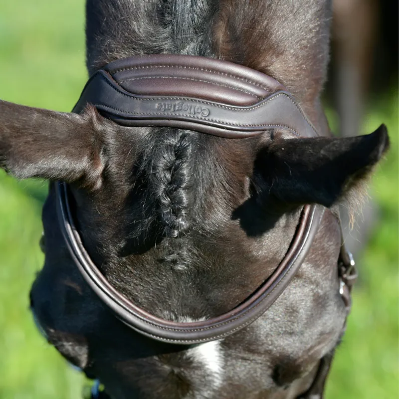 Collegiate ComFiTec Opulux Padded Hanoverian Flash Bridle - Brown-4