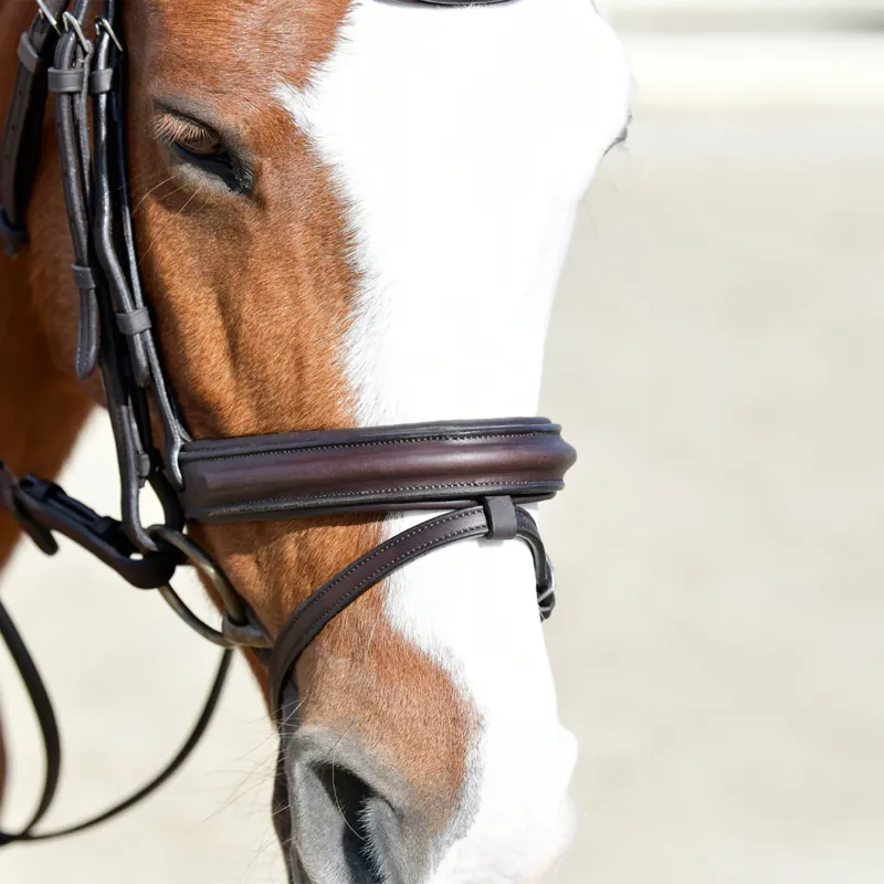 Collegiate ComFiTec Opulux Padded Hanoverian Flash Bridle - Brown-3